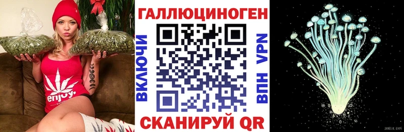 закладка  Карачев  Галлюциногенные грибы ЛСД 